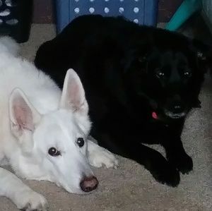 Meet your Posher, Aiza